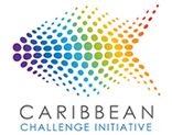 Caribbean Challenge Initiative